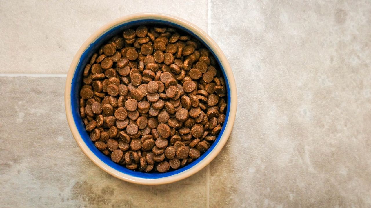 Air-Dried-Dog-Meals